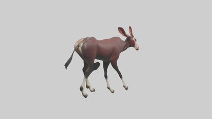 Okapi walking through brush model 3D model