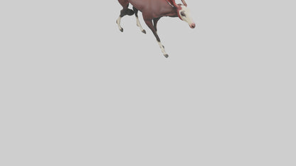 Okapi walking through brush model 3D model
