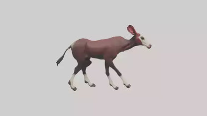 Okapi walking through brush model 3D model
