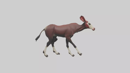 Okapi walking through brush model 3D model