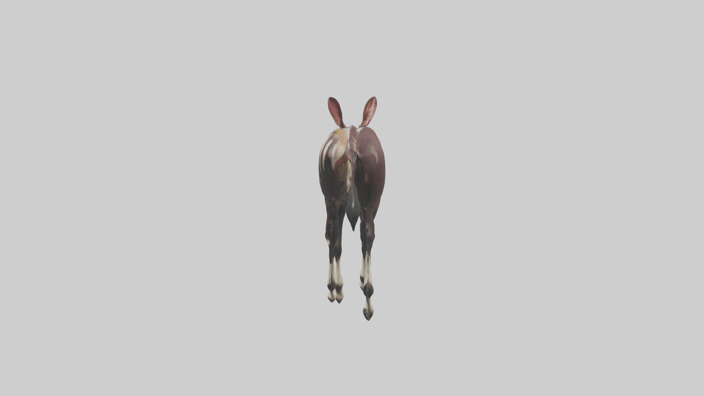 Okapi walking through brush model 3D model