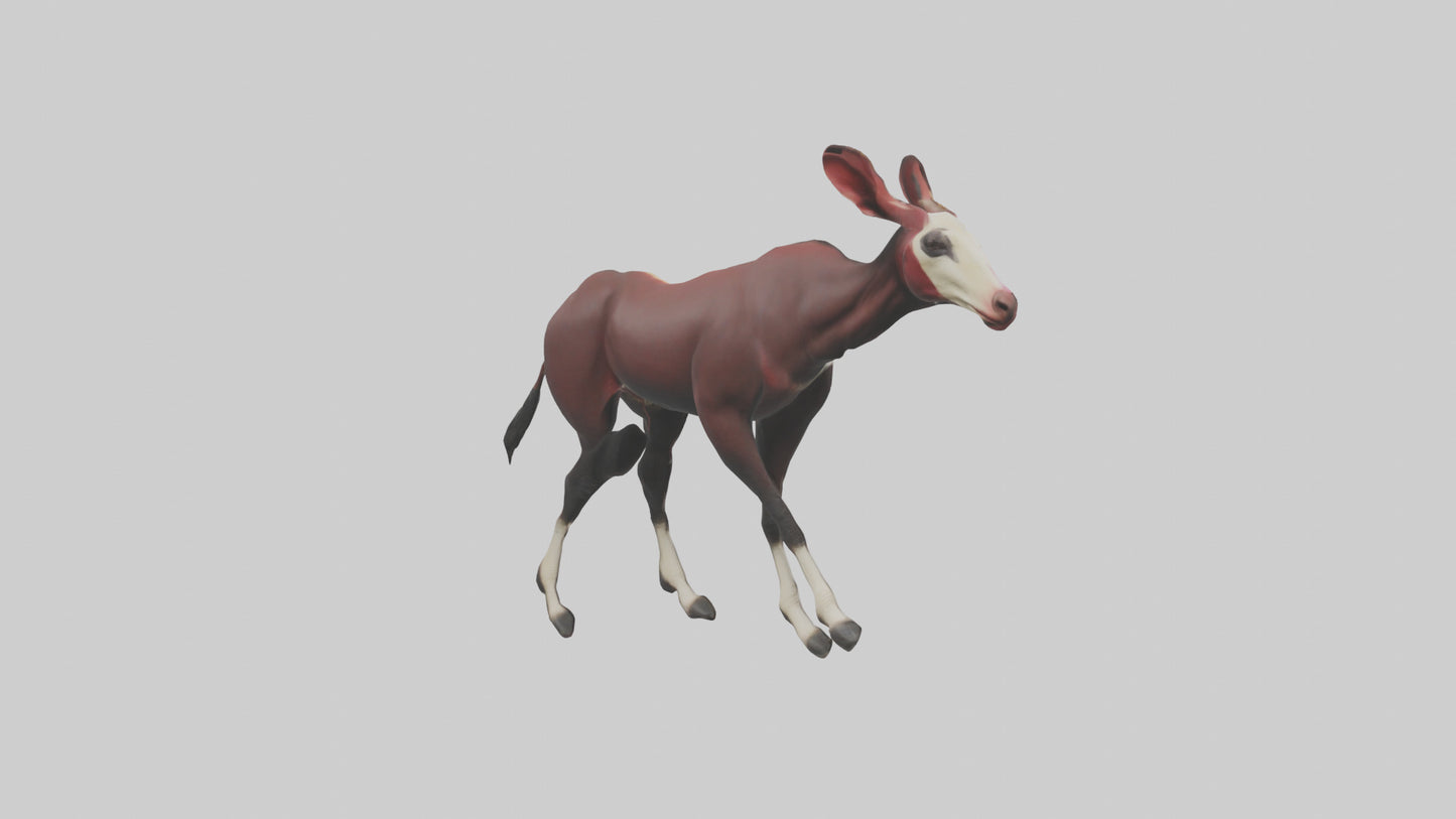 Okapi walking through brush model 3D model