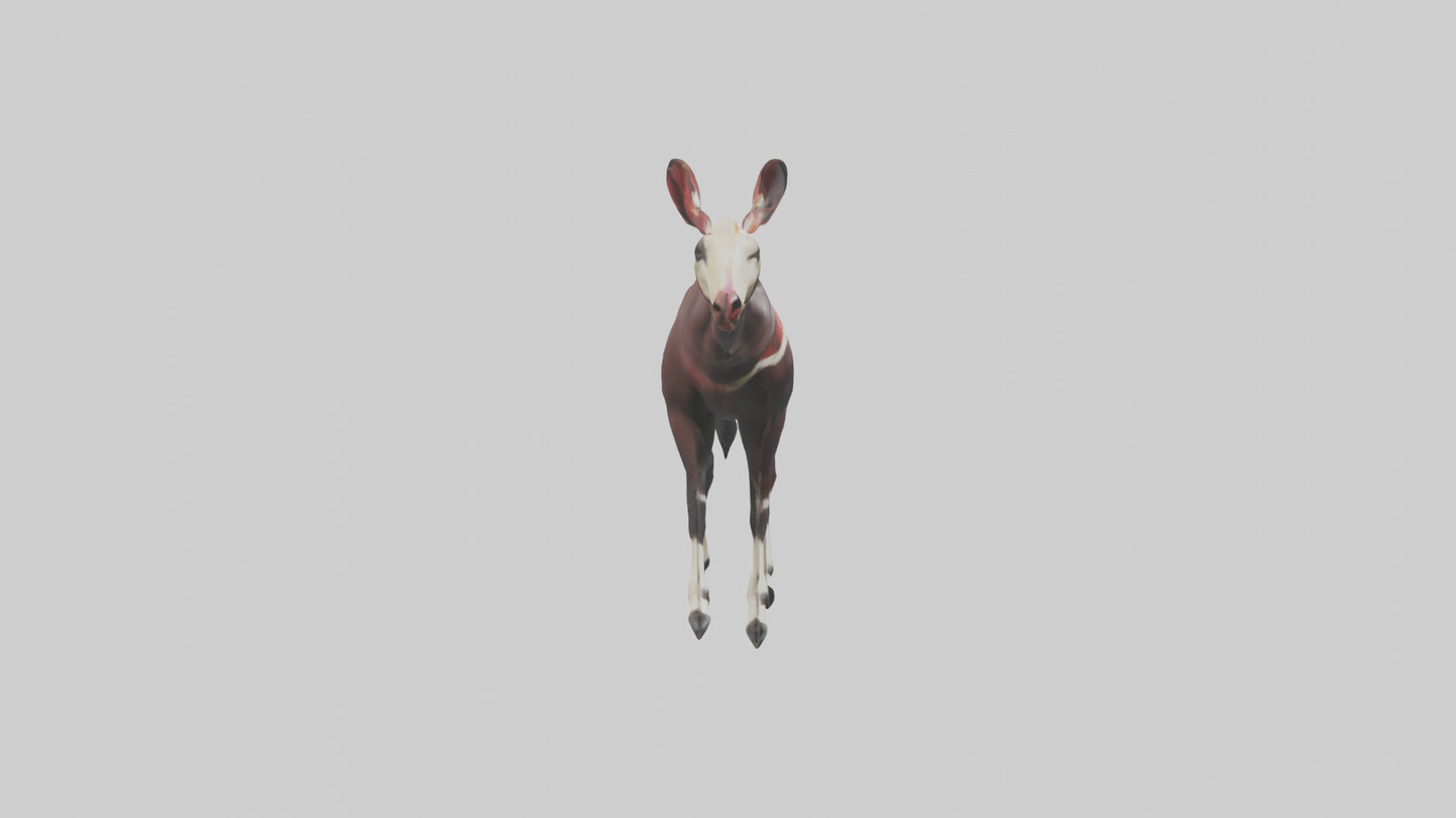 Okapi walking through brush model 3D model