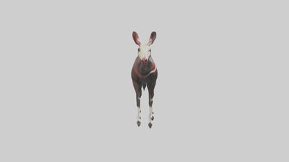 Okapi walking through brush model 3D model