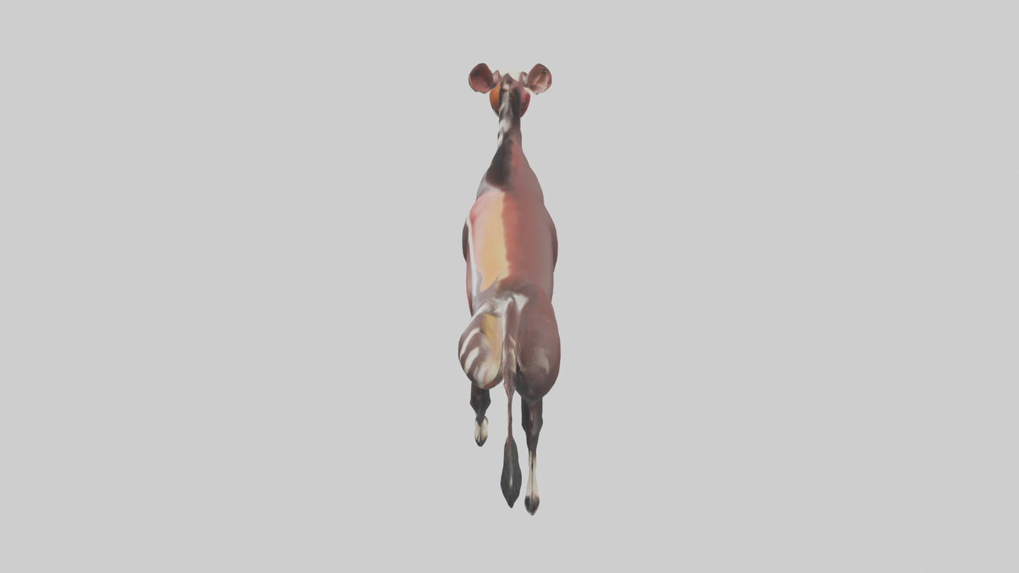 Okapi walking through brush model 3D model