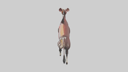 Okapi walking through brush model 3D model