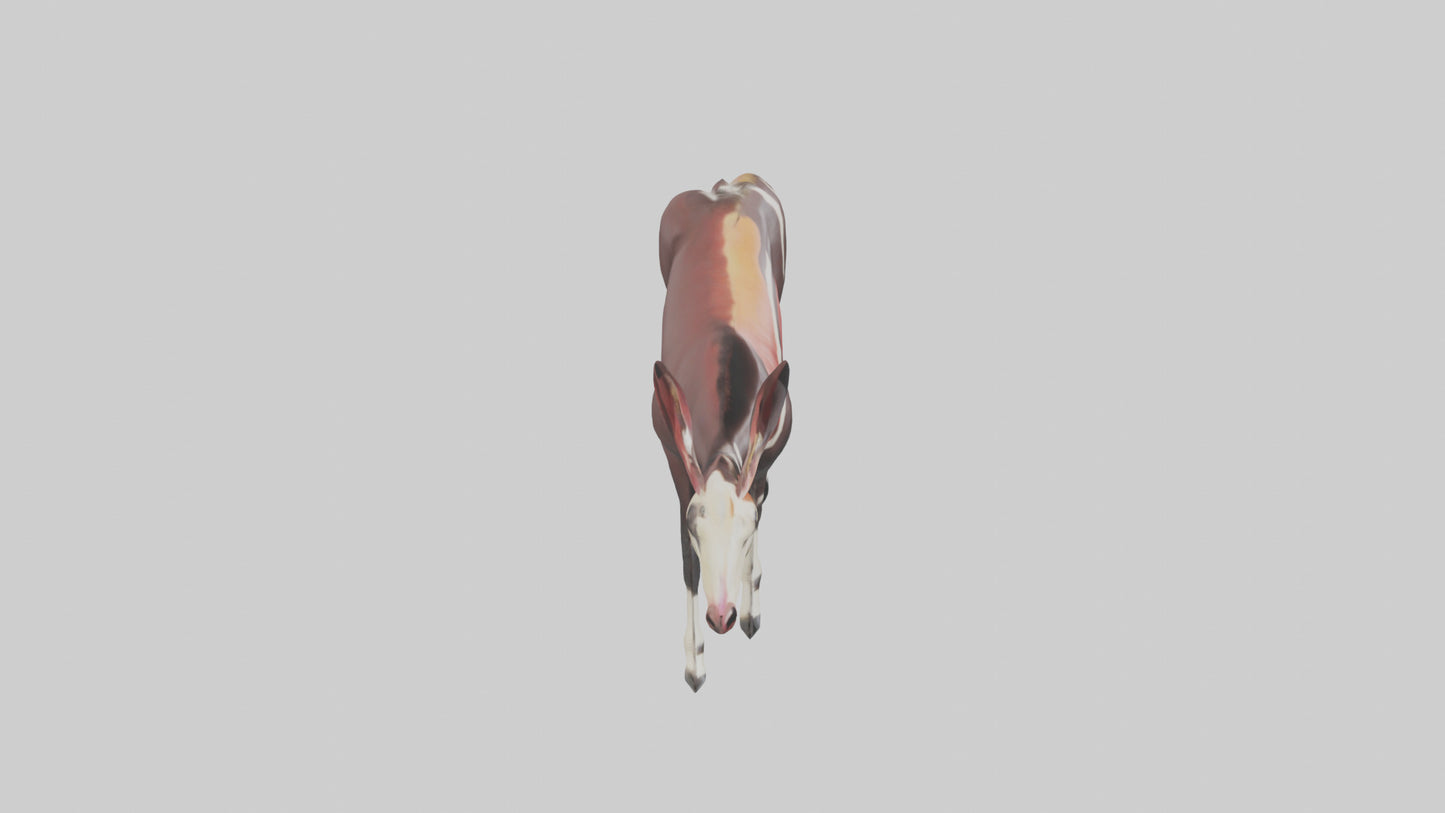 Okapi walking through brush model 3D model