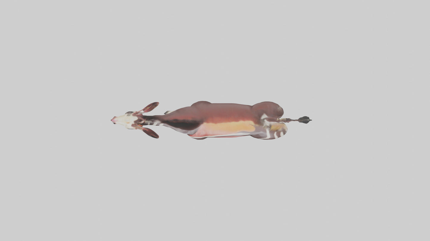 Okapi walking through brush model 3D model
