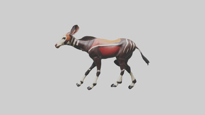 Okapi walking through brush model 3D model