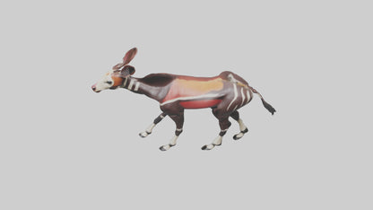 Okapi walking through brush model 3D model
