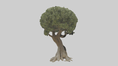 Olive tree model 3D model