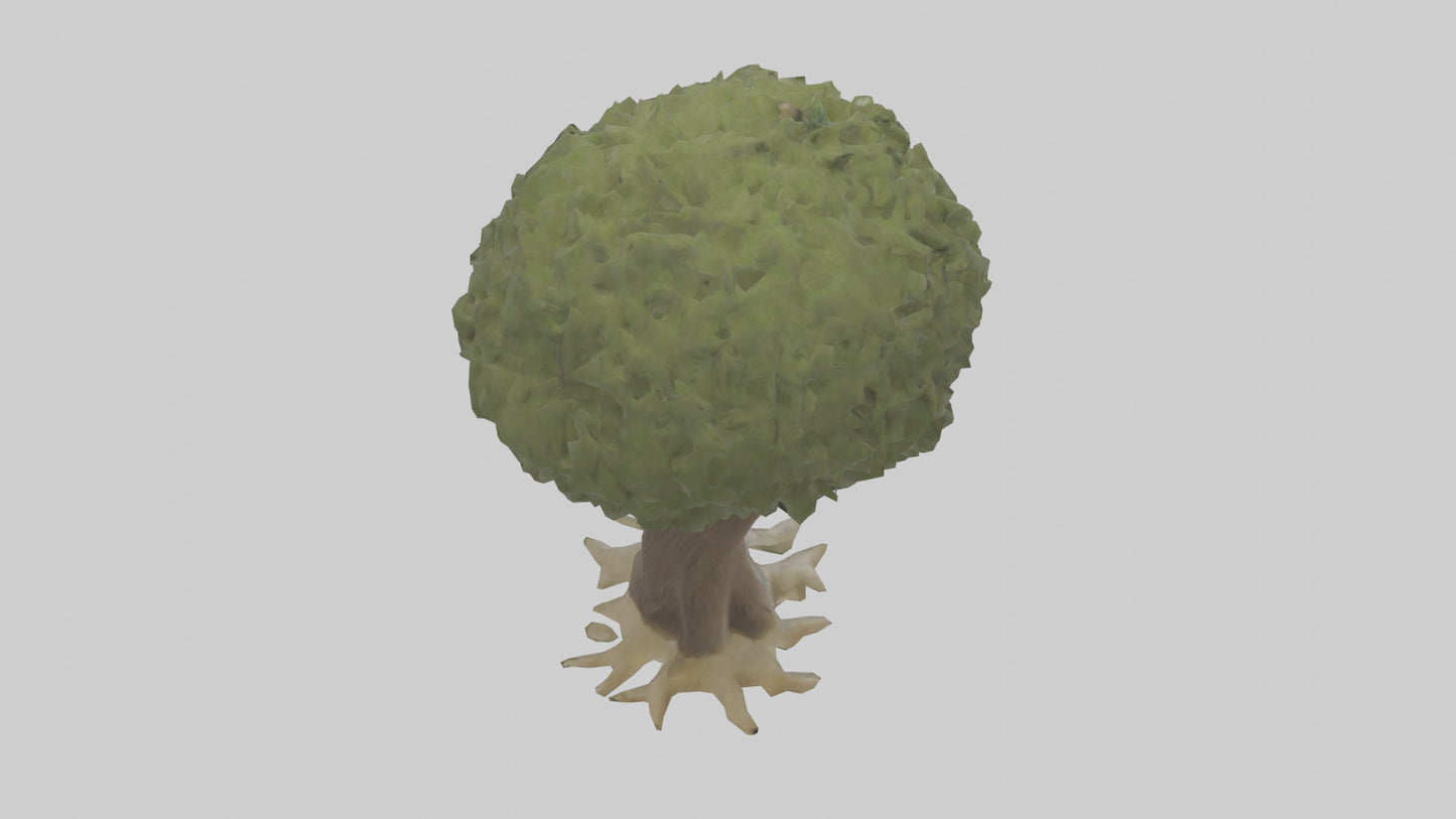 Olive tree model 3D model