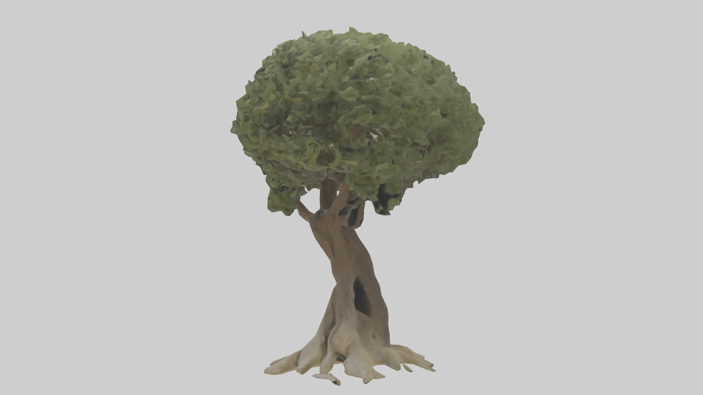 Olive tree model 3D model
