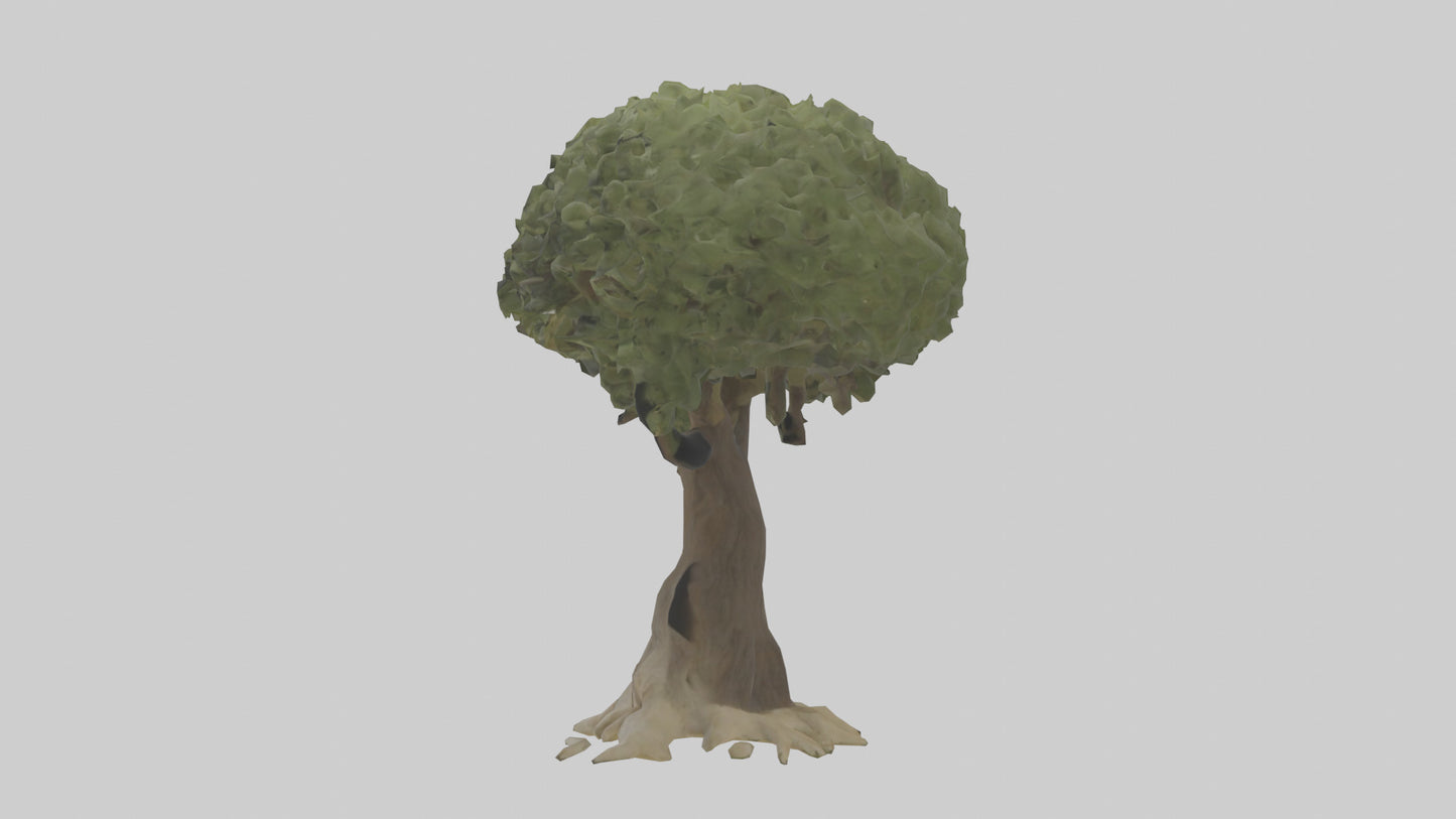 Olive tree model 3D model
