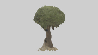 Olive tree model 3D model