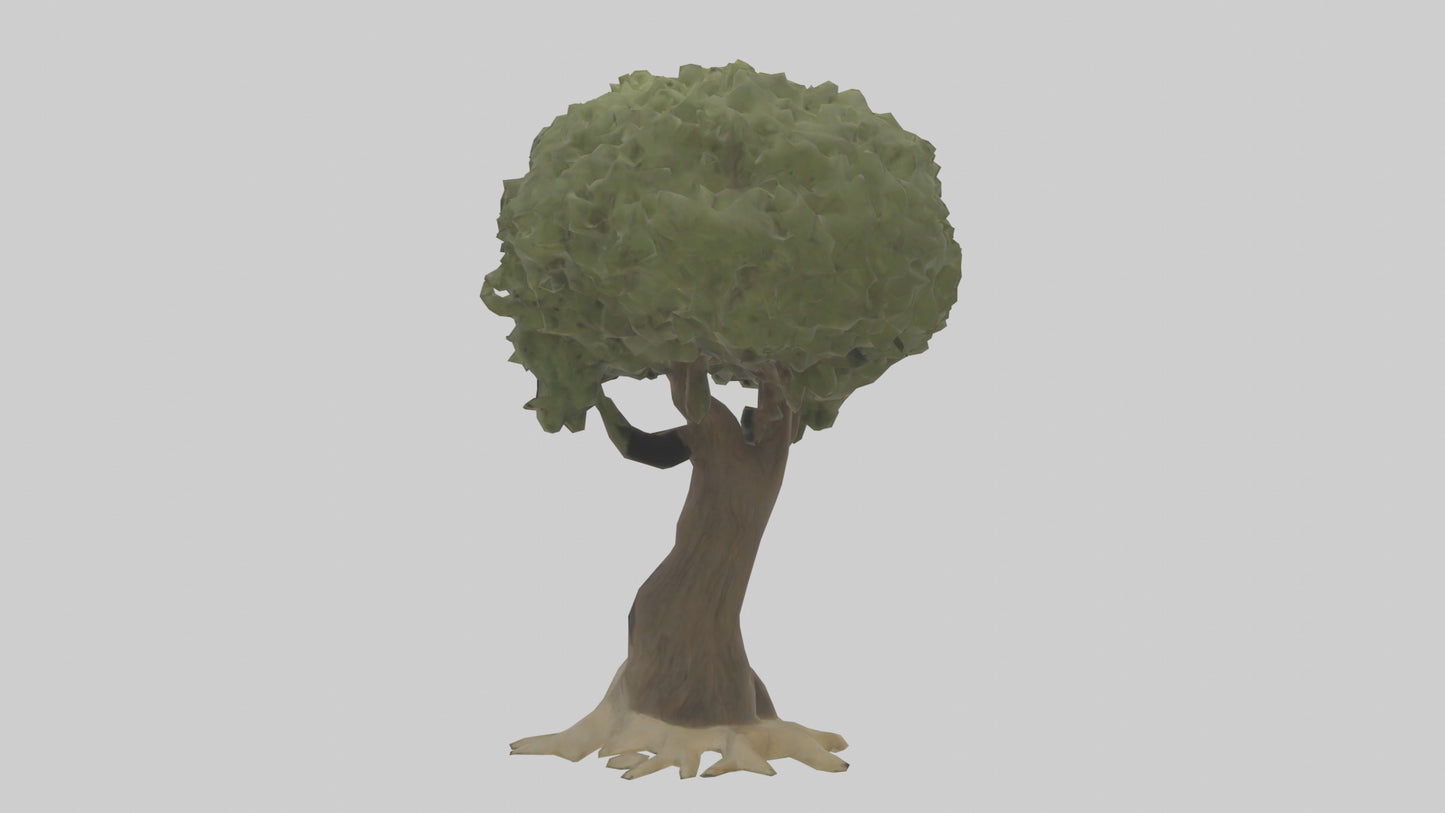 Olive tree model 3D model