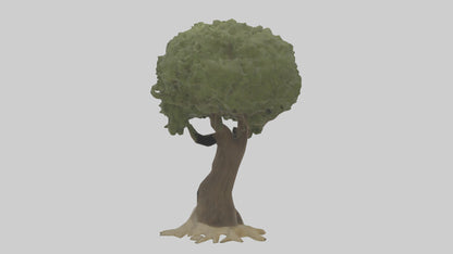 Olive tree model 3D model