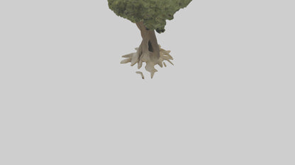 Olive tree model 3D model