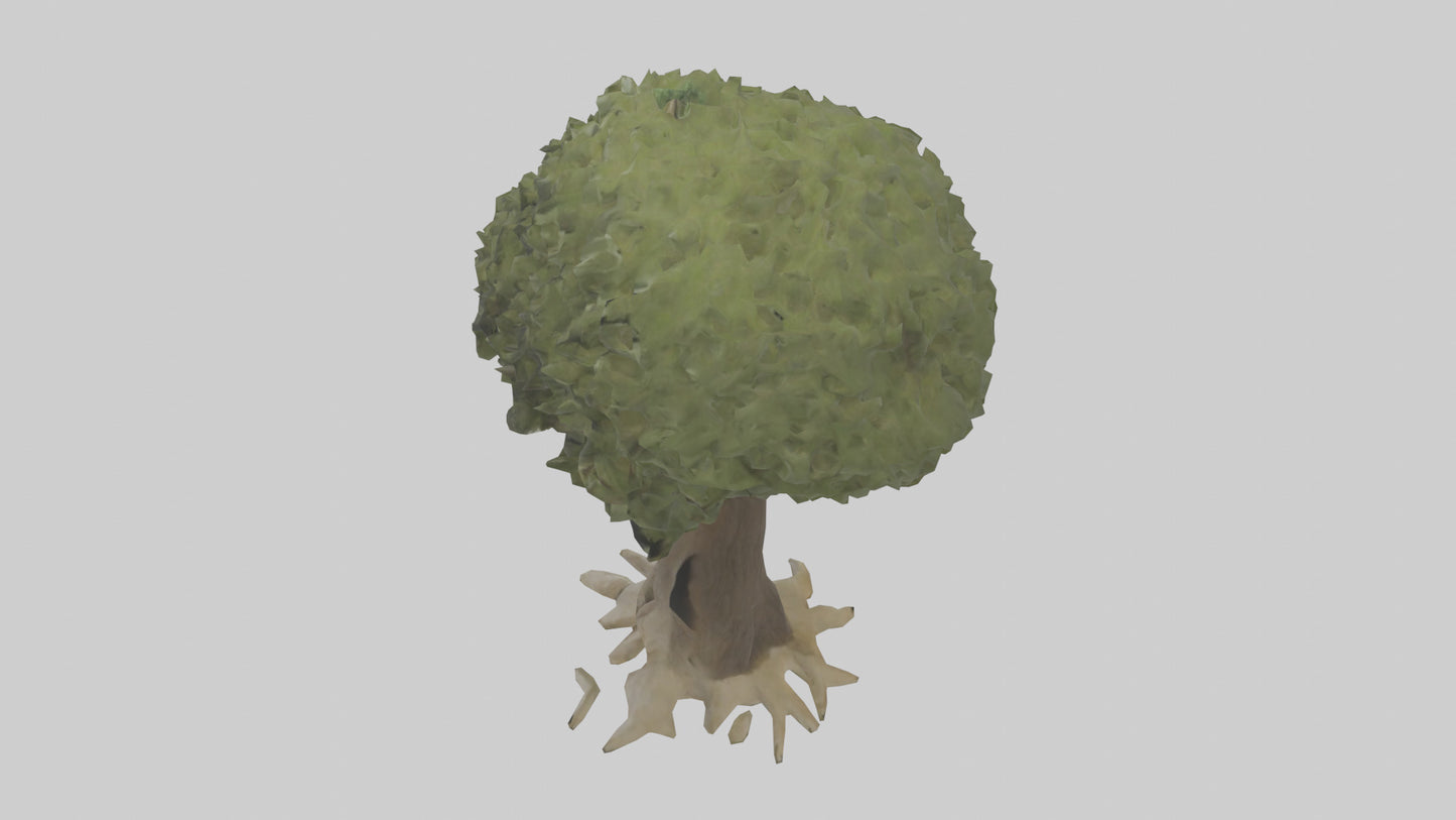 Olive tree model 3D model