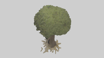 Olive tree model 3D model