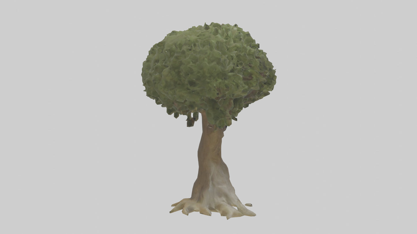 Olive tree model 3D model