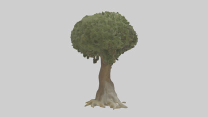 Olive tree model 3D model