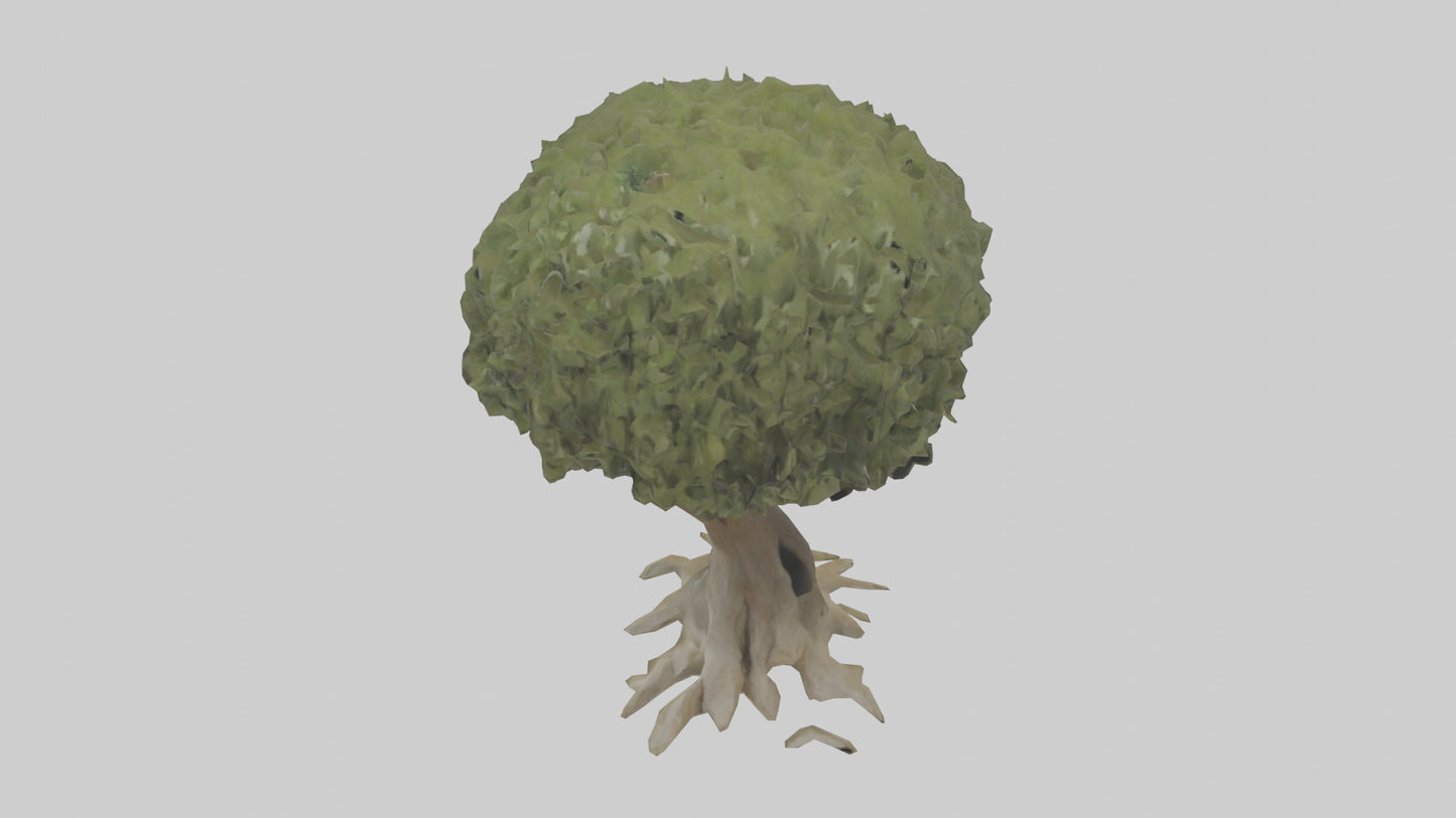 Olive tree model 3D model