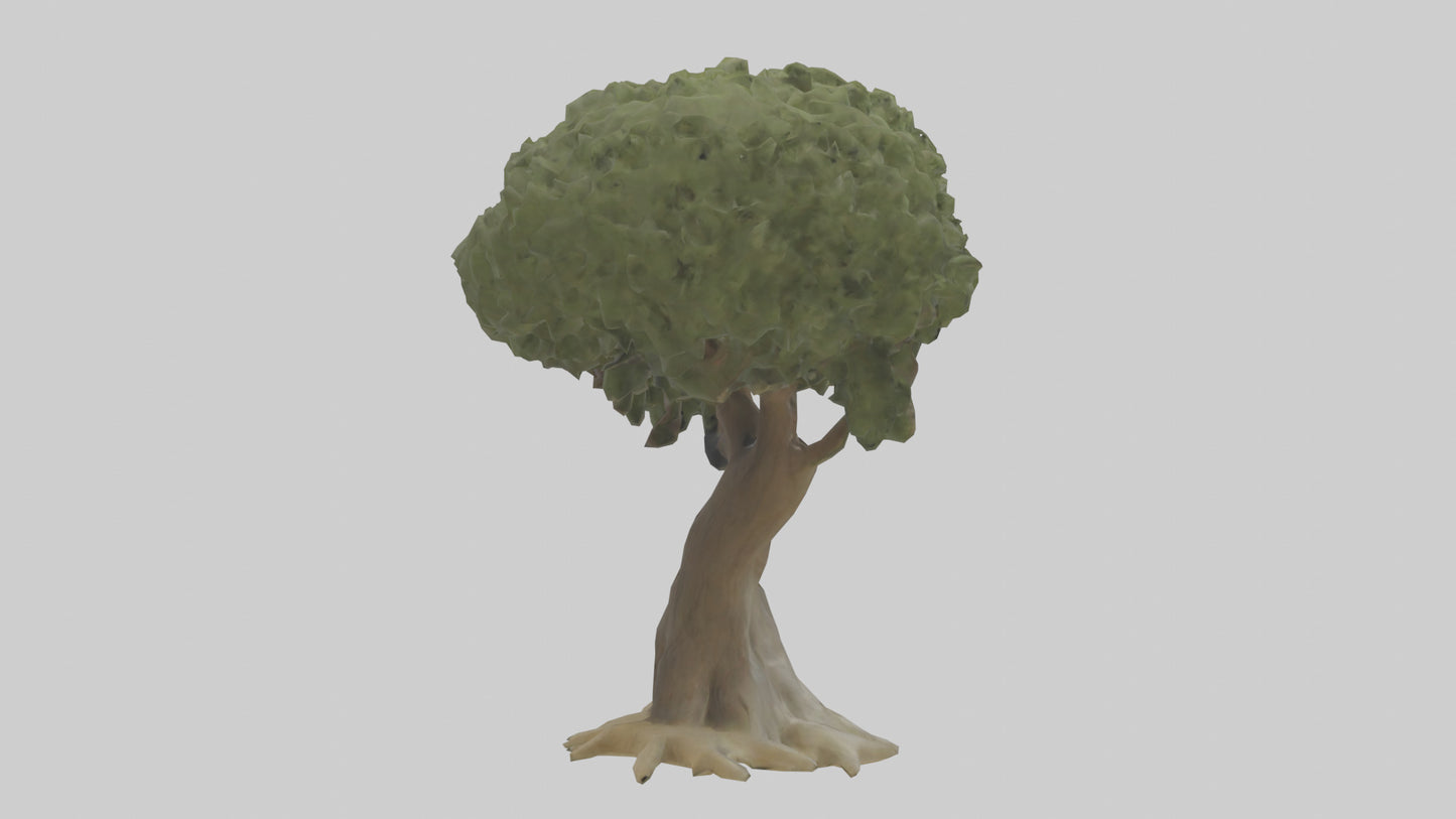 Olive tree model 3D model