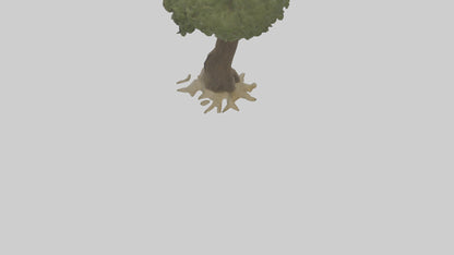 Olive tree model 3D model