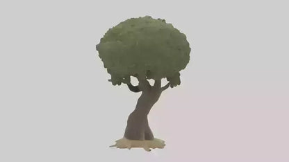 Olive tree model 3D model