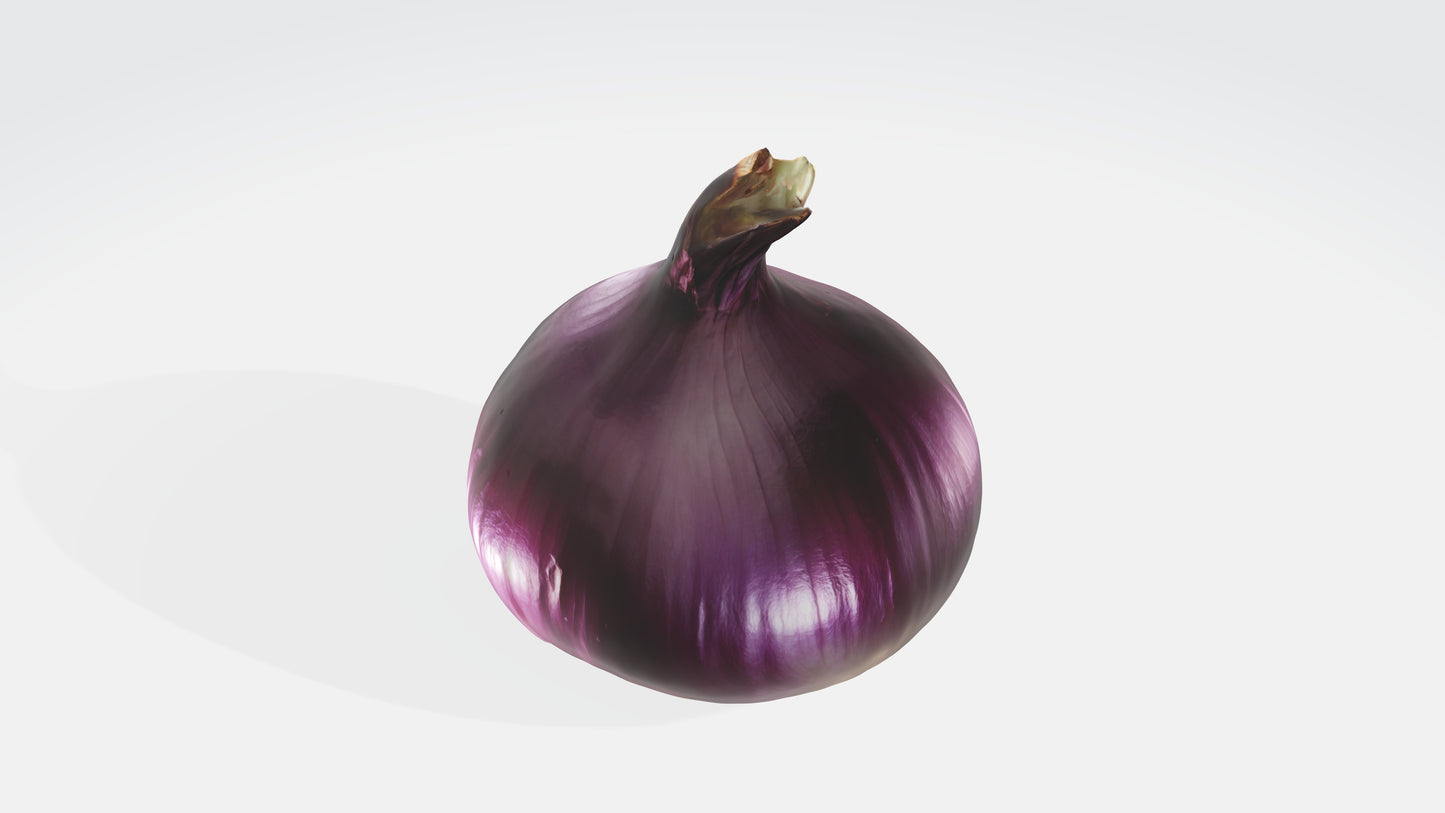 3D model onion VR / AR / low-poly
