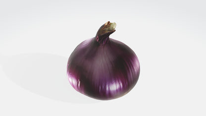 3D model onion VR / AR / low-poly