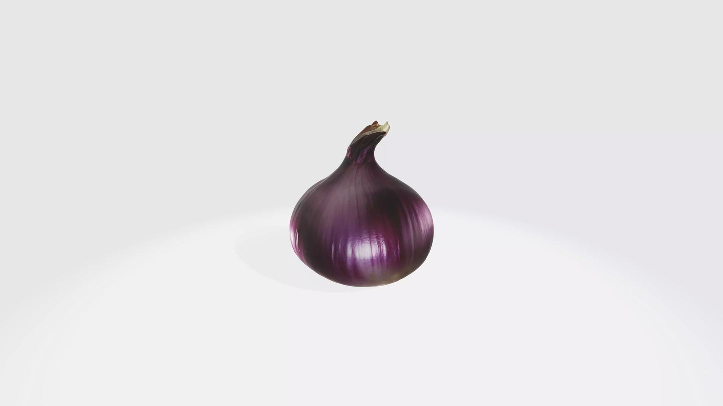 3D model onion VR / AR / low-poly