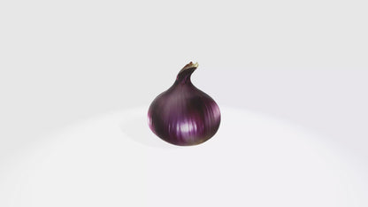 3D model onion VR / AR / low-poly