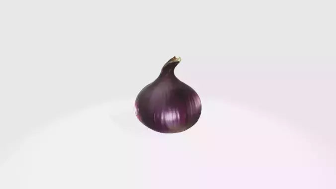 3D model onion VR / AR / low-poly