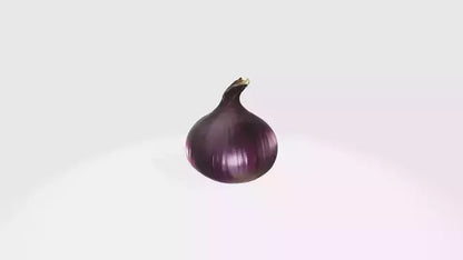 3D model onion VR / AR / low-poly