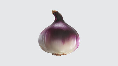 3D model onion VR / AR / low-poly