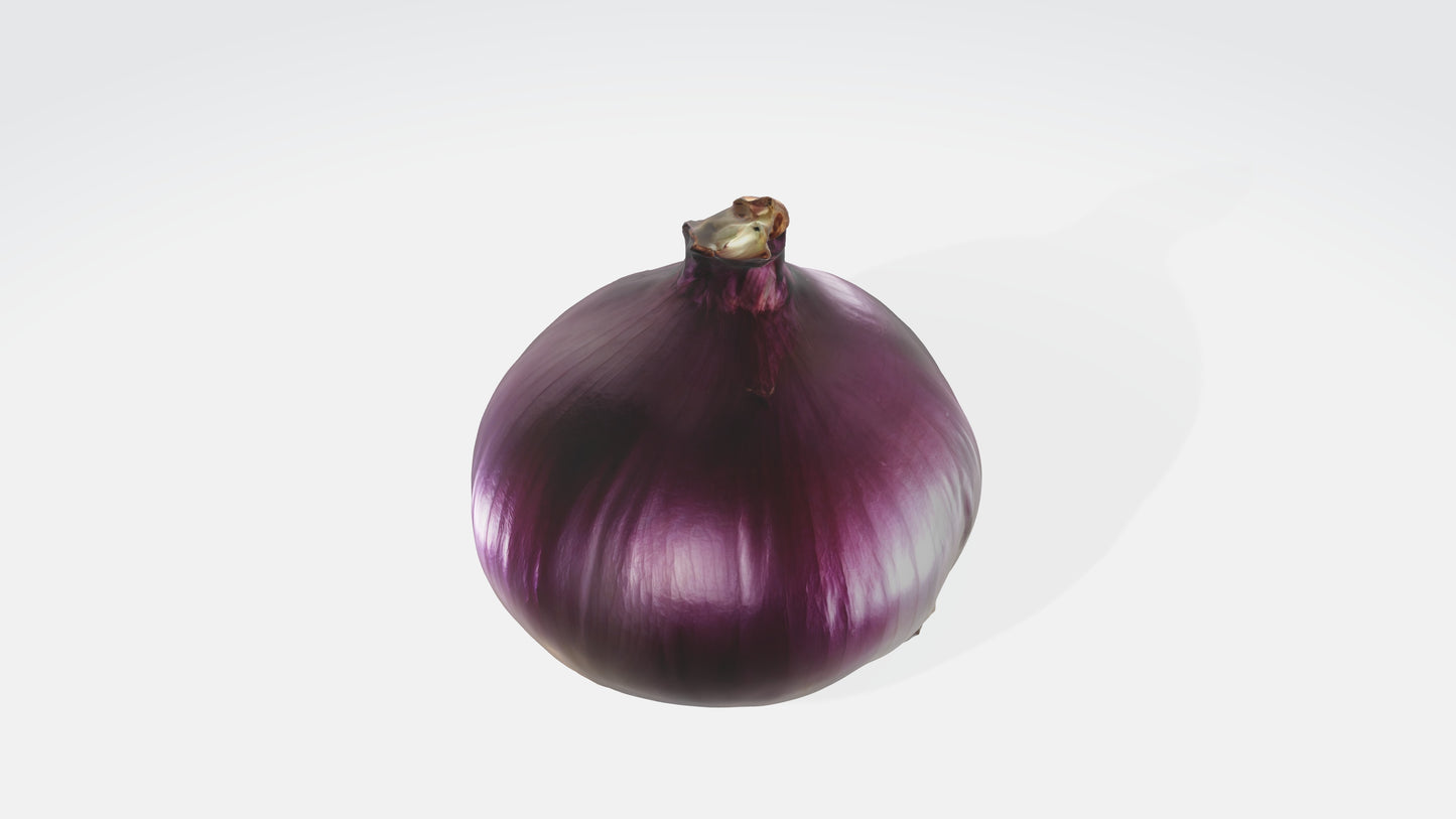 3D model onion VR / AR / low-poly