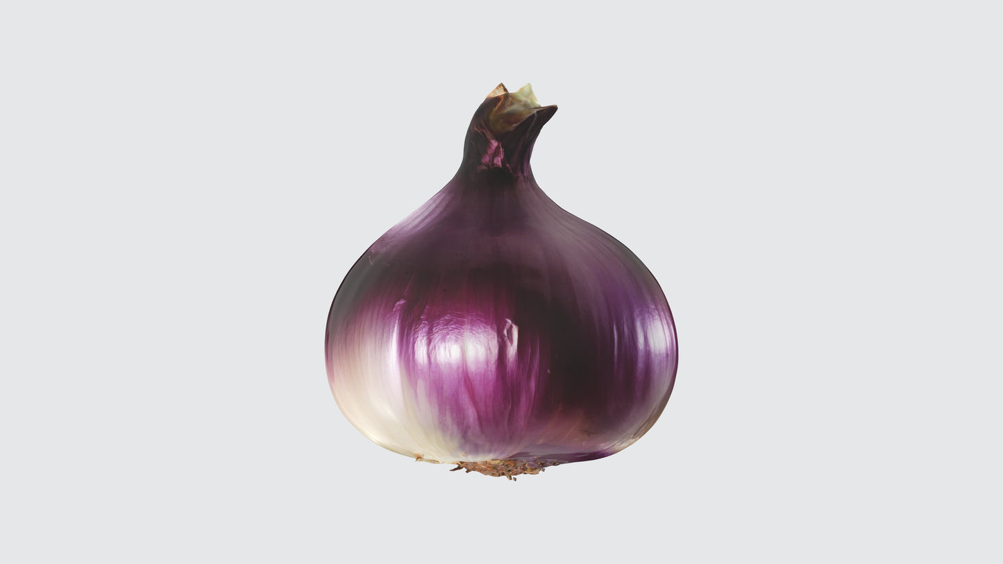 3D model onion VR / AR / low-poly
