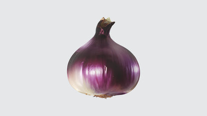 3D model onion VR / AR / low-poly