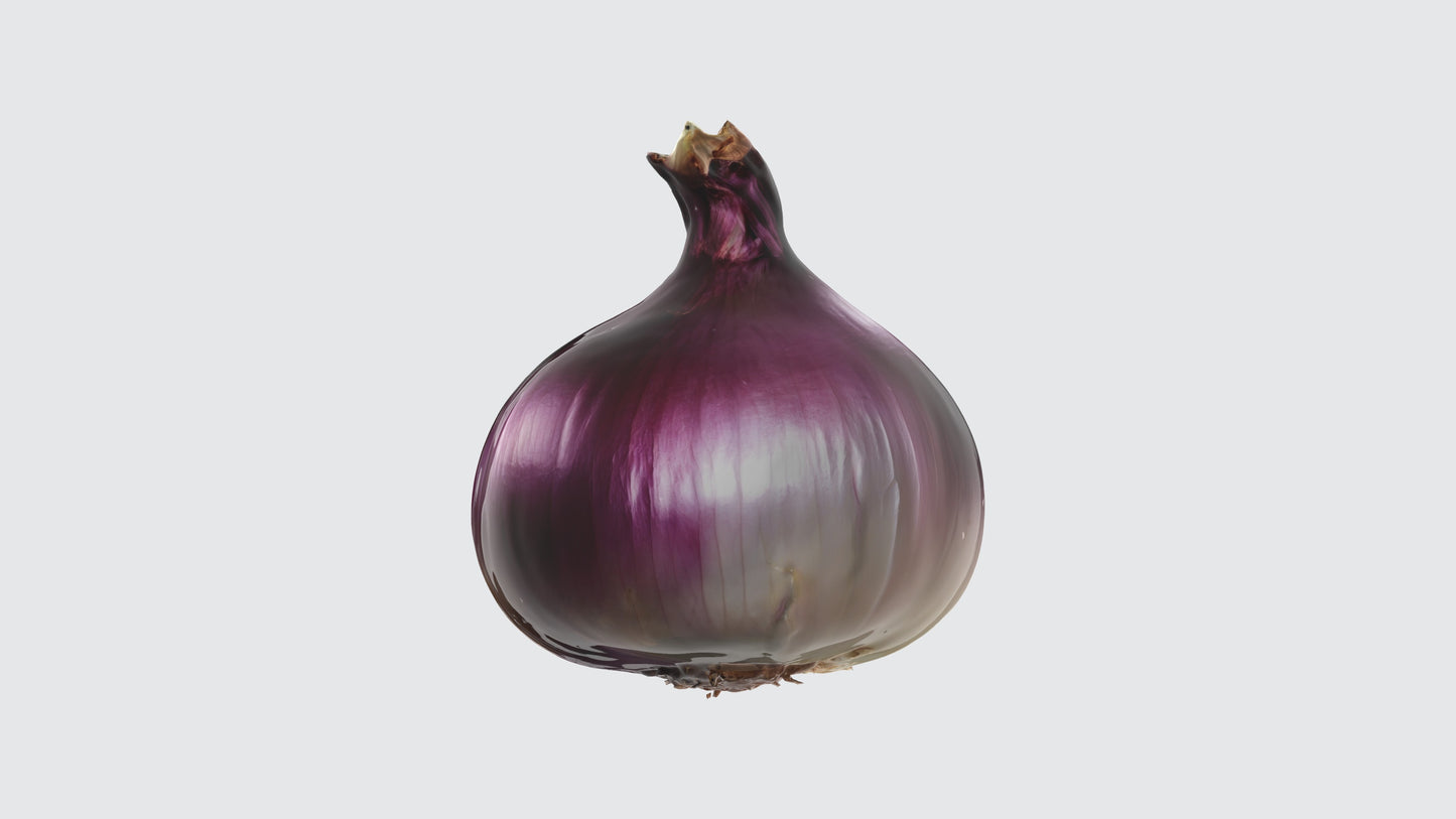 3D model onion VR / AR / low-poly