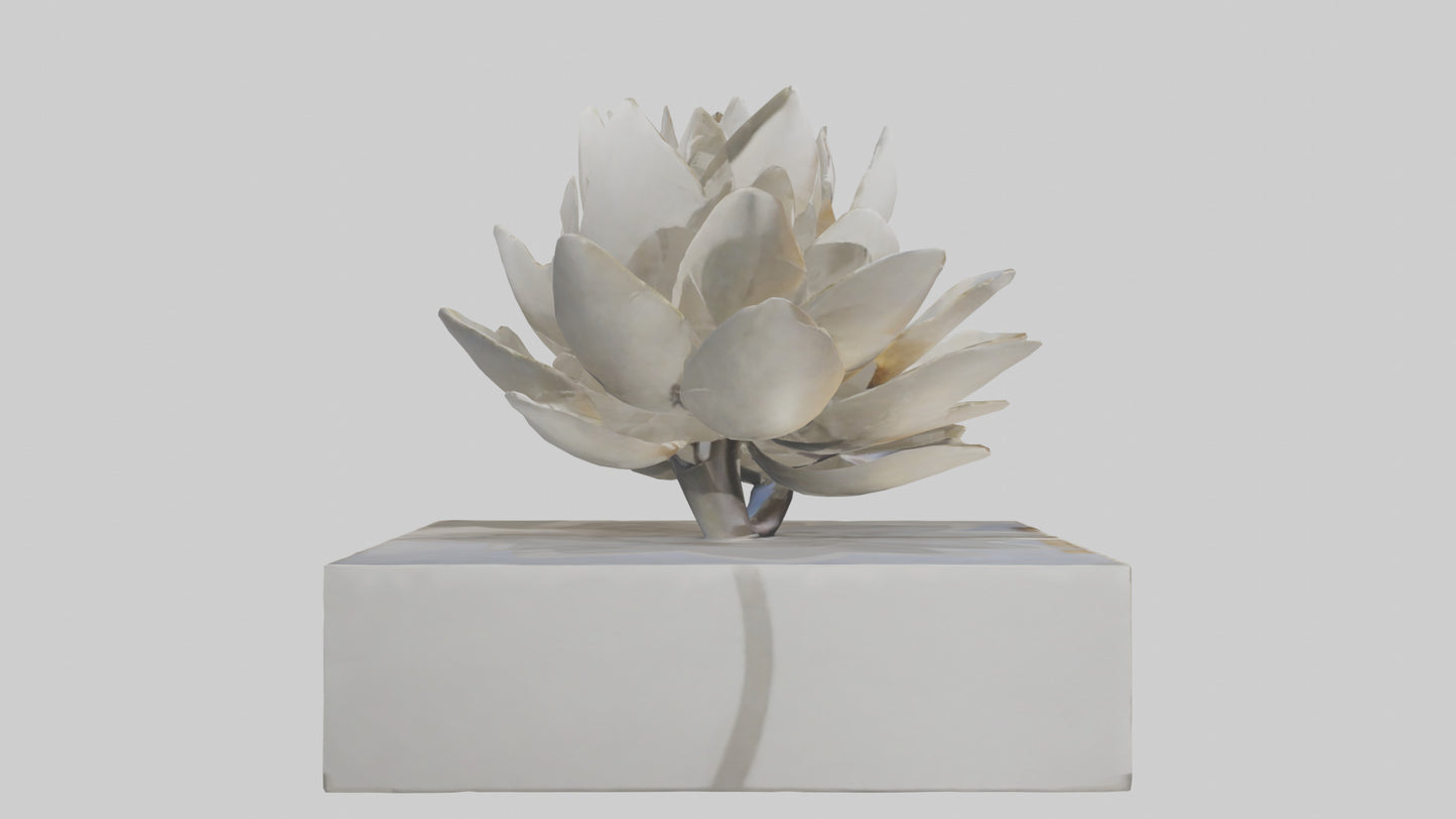 Open Bloom Sculpture model 3D model