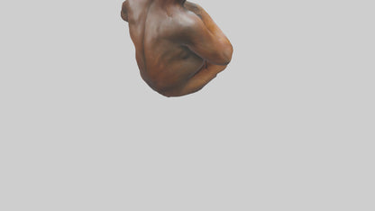 Orangutan sitting model 3D model