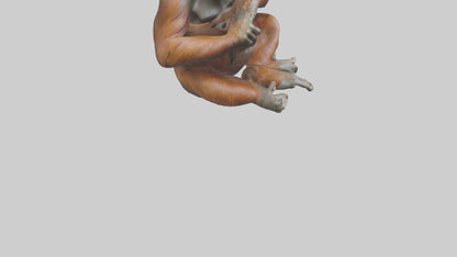 Orangutan sitting model 3D model