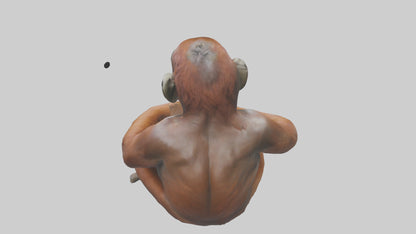 Orangutan sitting model 3D model