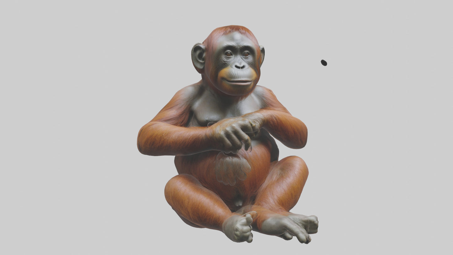 Orangutan sitting model 3D model