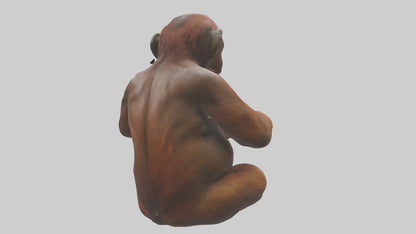 Orangutan sitting model 3D model