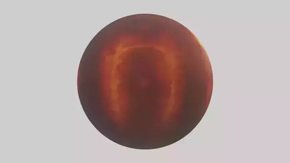 Orb of Fire model 3D model