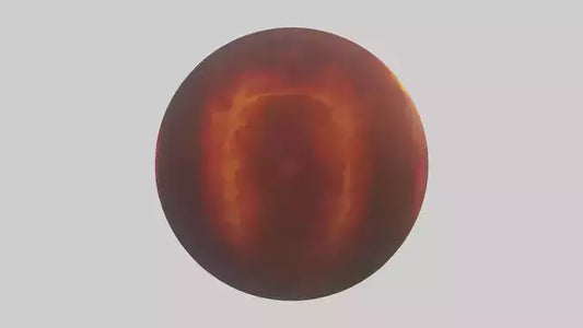 Orb of Fire model 3D model