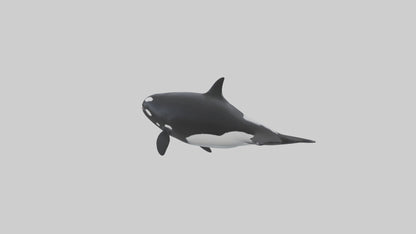 3D model Orca swimming model VR / AR / low-poly